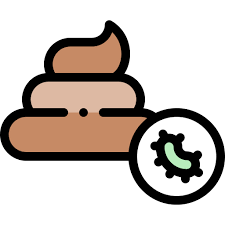 Stool