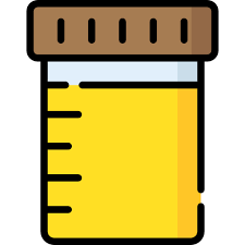 Urine
