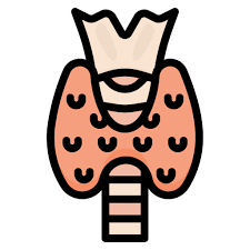 Thyroid
